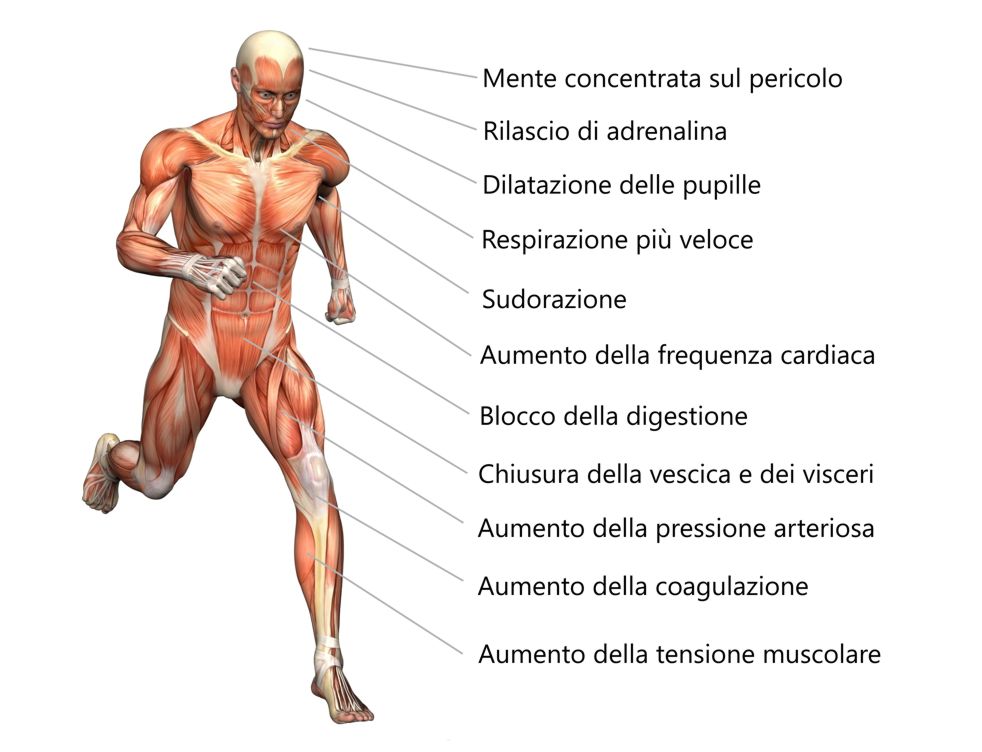 sintomi dell'ansia sociale