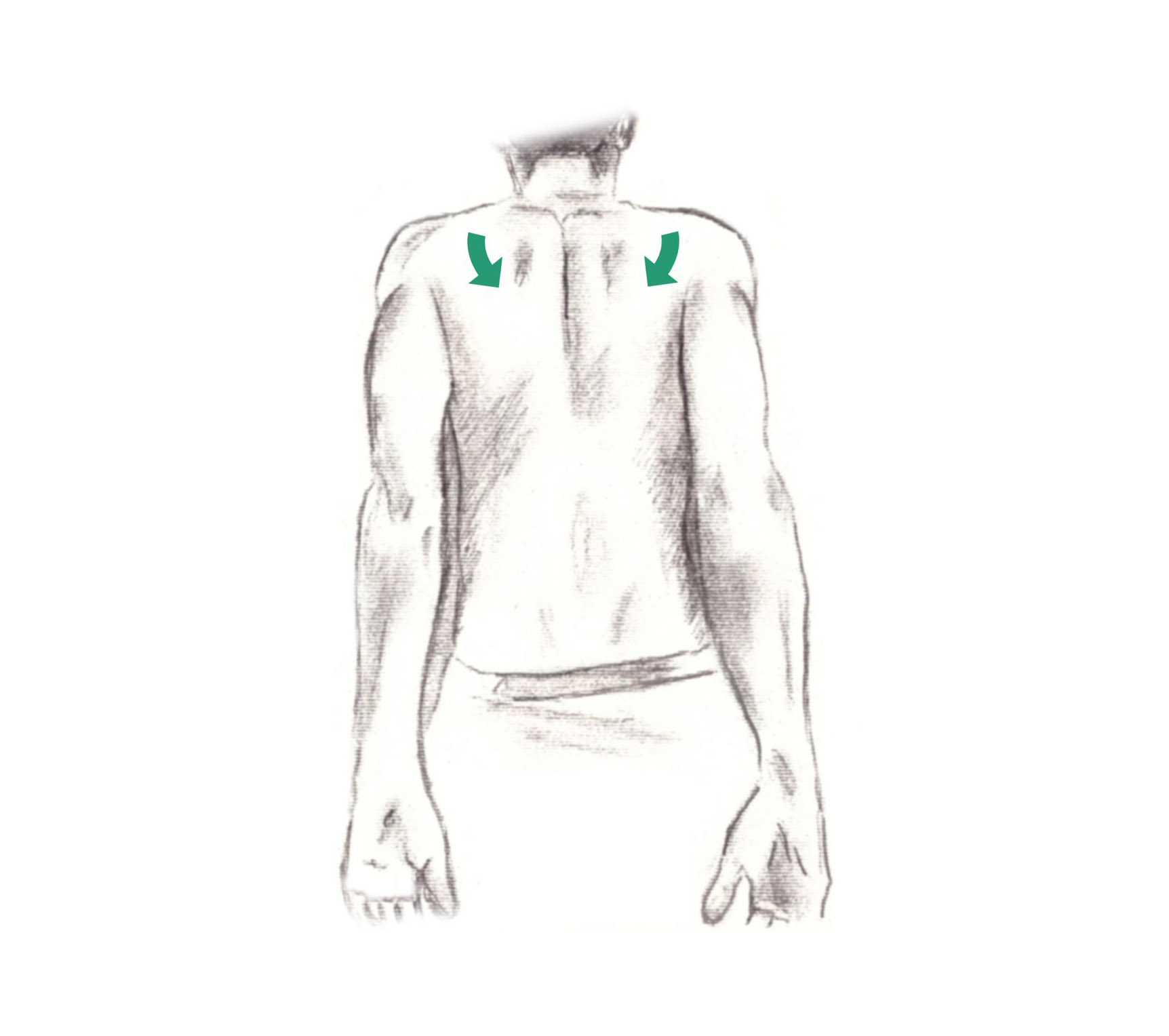 rilassamento muscolare progressivo sui muscoli della schiena